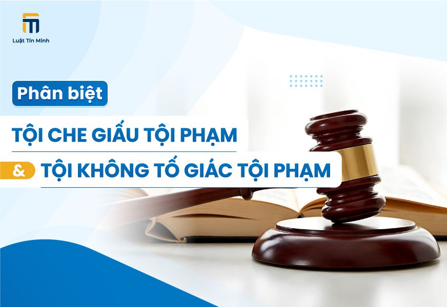 Phân biệt Tội che giấu tội phạm và Tội không tố giác tội phạm