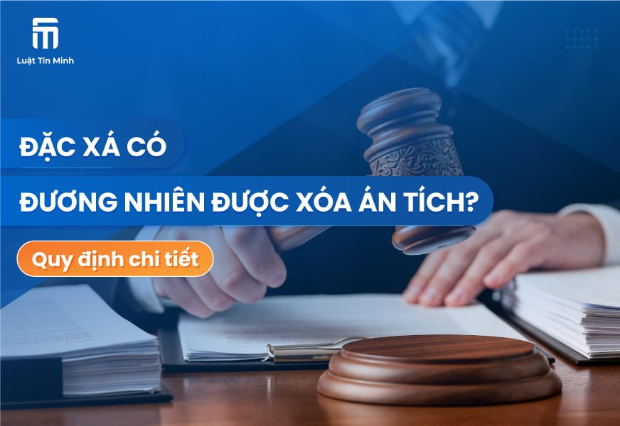 Đặc Xá Là Gì? Đặc Xá Có Được Đương Nhiên Xóa Án Tích?